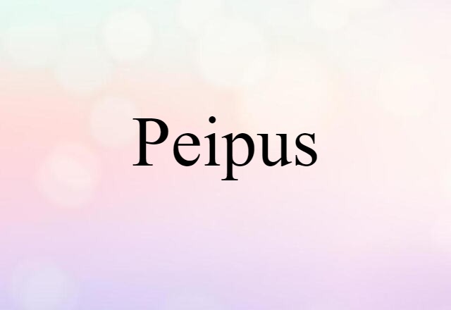 Peipus (noun) Definition, Meaning & Examples