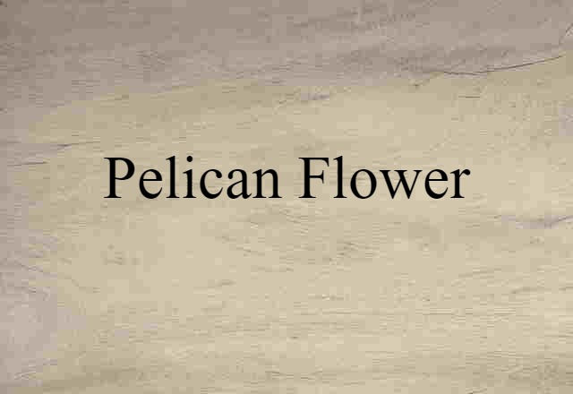 pelican-flower