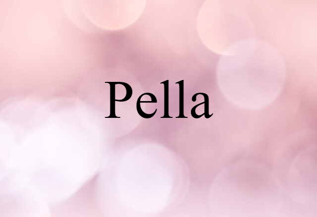 Pella (noun) Definition, Meaning & Examples