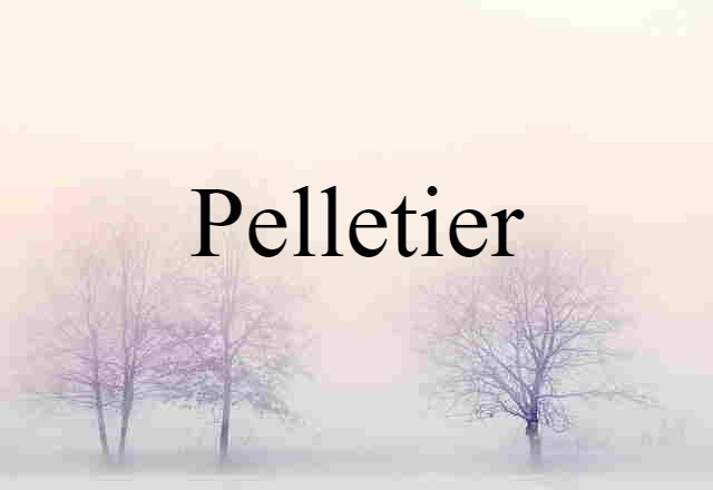 Pelletier (noun) Definition, Meaning & Examples