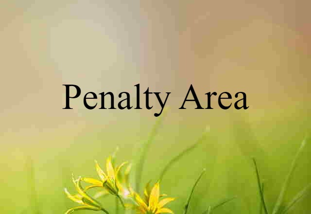 penalty area