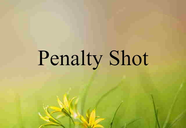 Penalty Shot (noun) Definition, Meaning & Examples