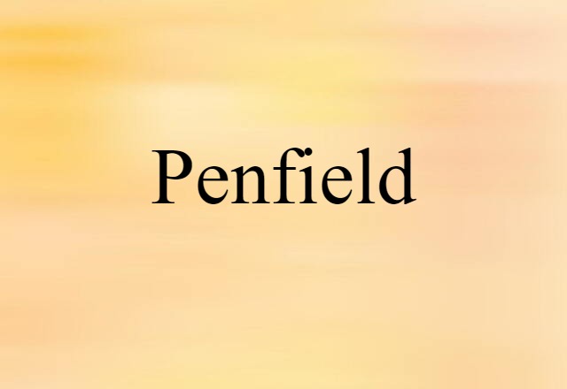 Penfield (noun) Definition, Meaning & Examples