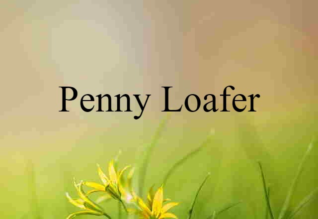 Penny Loafer (noun) Definition, Meaning & Examples