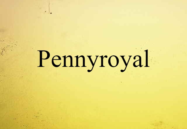 Pennyroyal (noun) Definition, Meaning & Examples