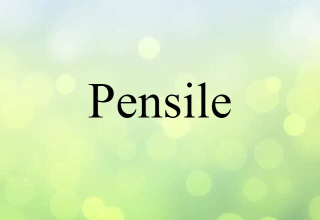 Pensile (noun) Definition, Meaning & Examples