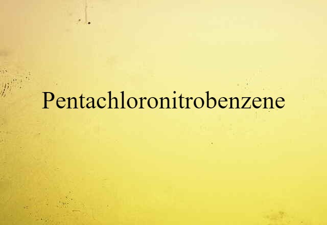 Pentachloronitrobenzene (noun) Definition, Meaning & Examples