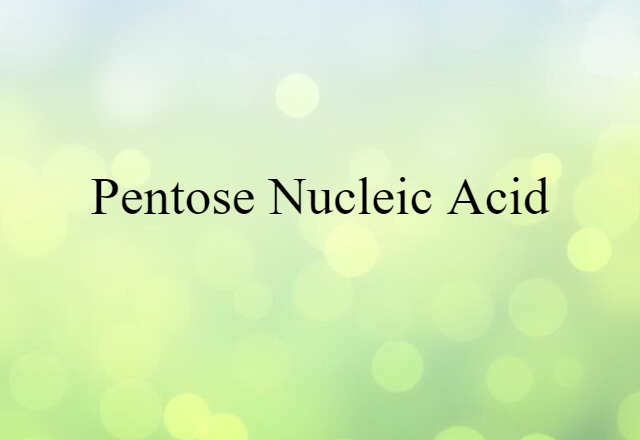 Pentose Nucleic Acid (noun) Definition, Meaning & Examples