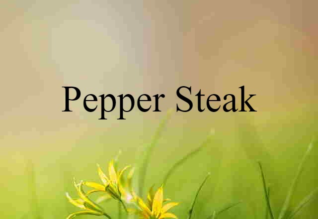 Pepper Steak (noun) Definition, Meaning & Examples