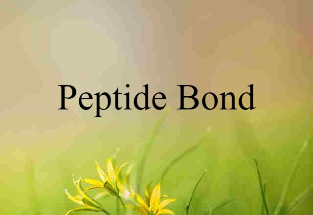 Peptide Bond (noun) Definition, Meaning & Examples