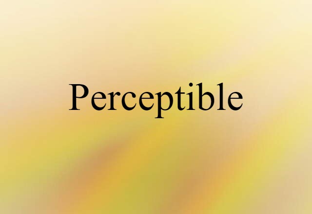 Perceptible (noun) Definition, Meaning & Examples