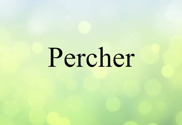 Percher (noun) Definition, Meaning & Examples