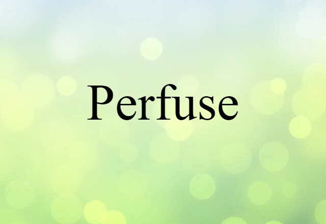 Perfuse (noun) Definition, Meaning & Examples