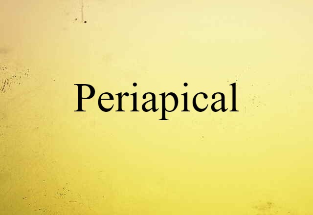 Periapical (noun) Definition, Meaning & Examples