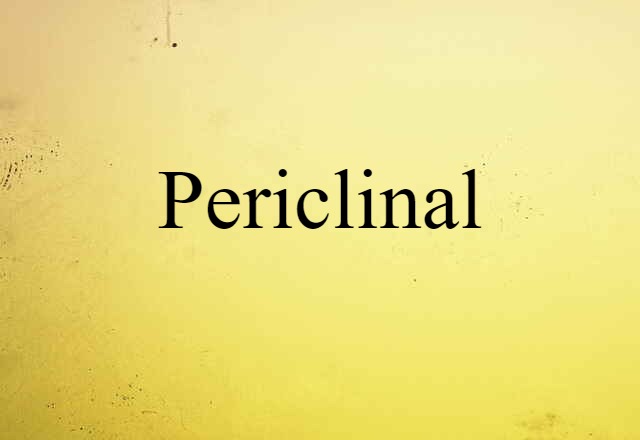 Periclinal (noun) Definition, Meaning & Examples