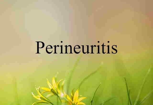 Perineuritis (noun) Definition, Meaning & Examples