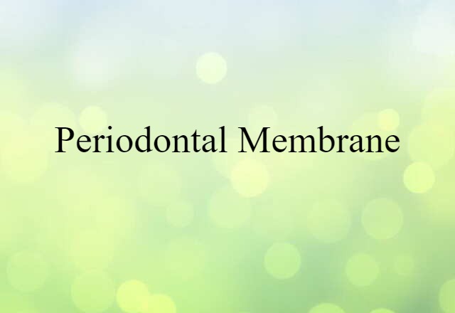 periodontal membrane