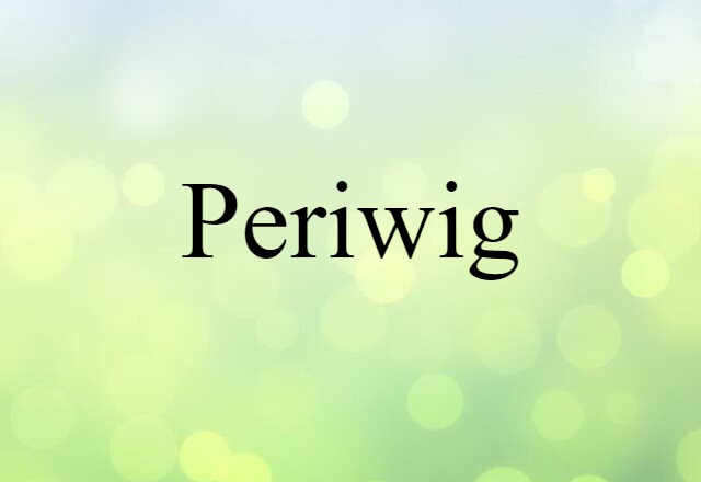 Periwig (noun) Definition, Meaning & Examples