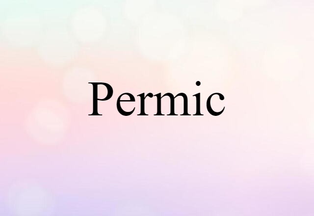 Permic (noun) Definition, Meaning & Examples