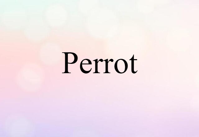 Perrot (noun) Definition, Meaning & Examples