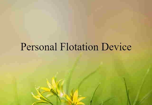 Personal Flotation Device (noun) Definition, Meaning & Examples