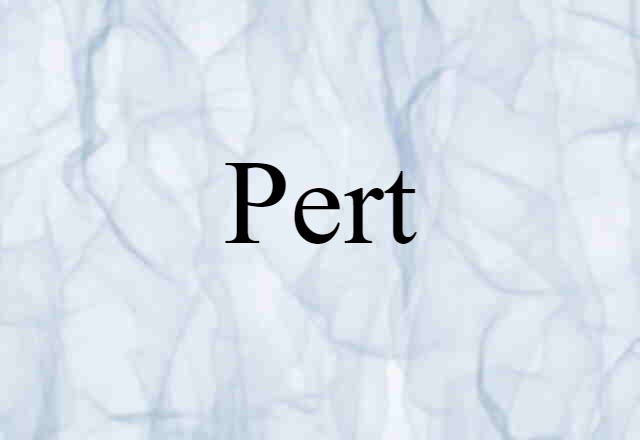 Pert (noun) Definition, Meaning & Examples