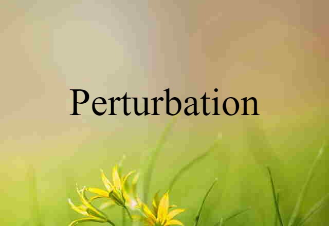 Perturbation (noun) Definition, Meaning & Examples