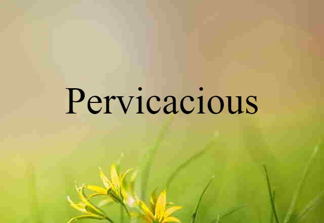 Pervicacious (noun) Definition, Meaning & Examples