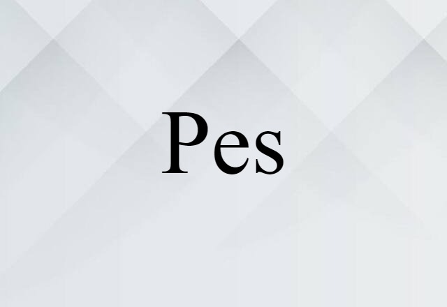 Pes (noun) Definition, Meaning & Examples