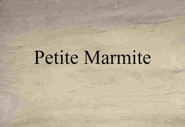 Petite Marmite (noun) Definition, Meaning & Examples