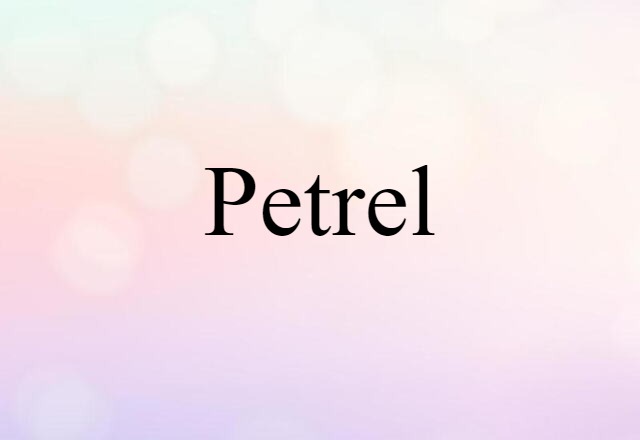 petrel