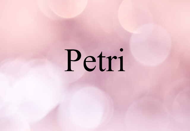 Petri (noun) Definition, Meaning & Examples