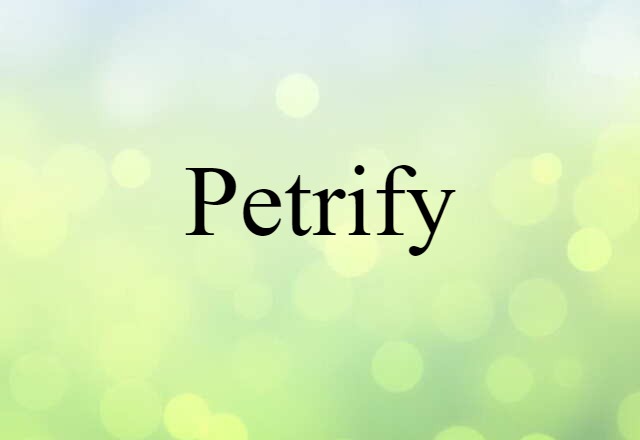 Petrify (noun) Definition, Meaning & Examples