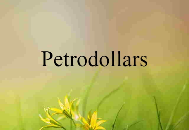 Petrodollars (noun) Definition, Meaning & Examples