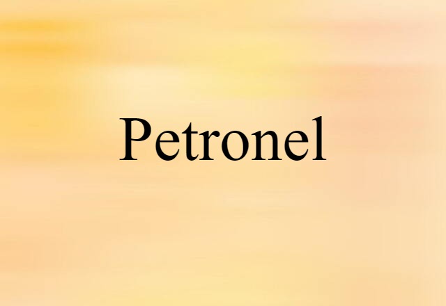 Petronel (noun) Definition, Meaning & Examples