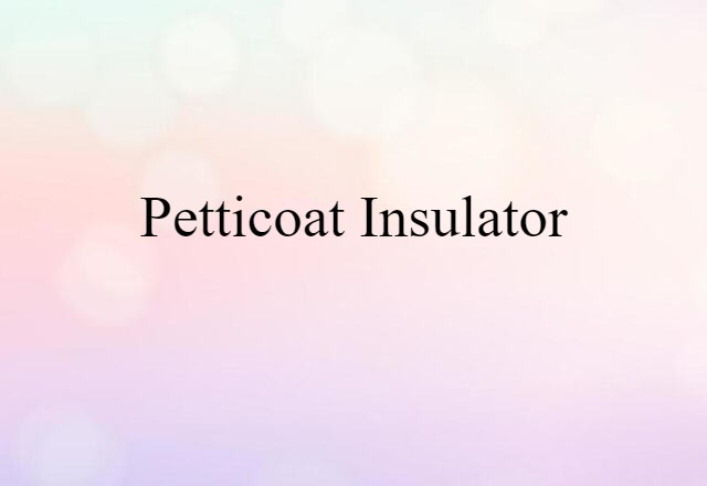 Petticoat Insulator (noun) Definition, Meaning & Examples