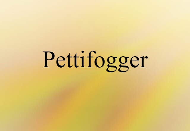 Pettifogger (noun) Definition, Meaning & Examples