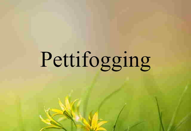 Pettifogging (noun) Definition, Meaning & Examples