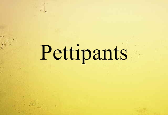 Pettipants (noun) Definition, Meaning & Examples