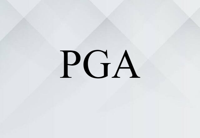 PGA (noun) Definition, Meaning & Examples