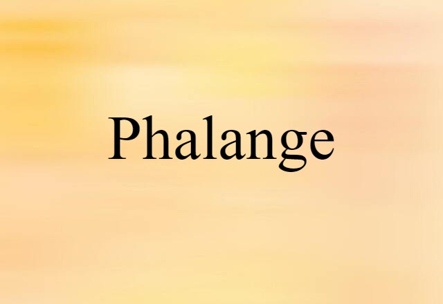 phalange