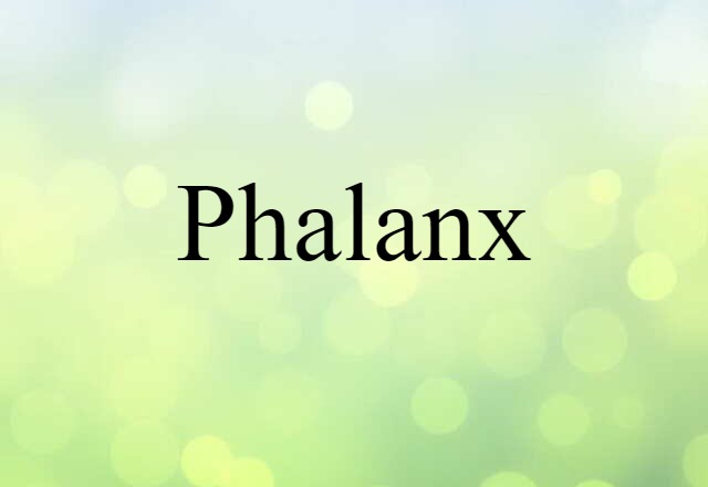 phalanx