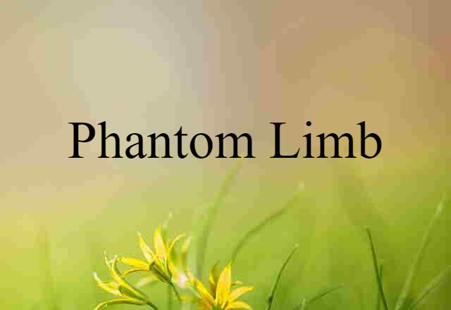 phantom limb