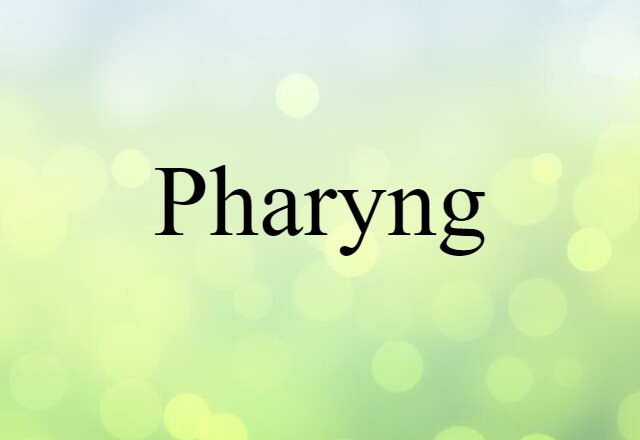 Pharyng (noun) Definition, Meaning & Examples