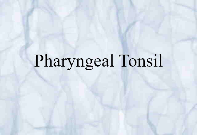 Pharyngeal Tonsil (noun) Definition, Meaning & Examples