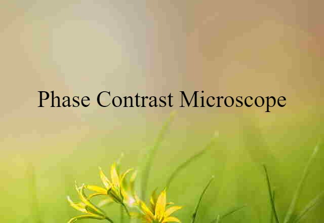 phase-contrast microscope