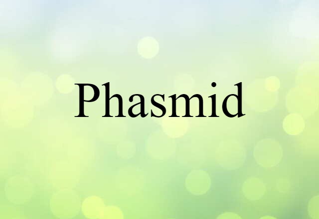 phasmid