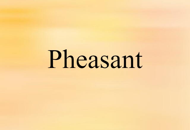 Pheasant (noun) Definition, Meaning & Examples