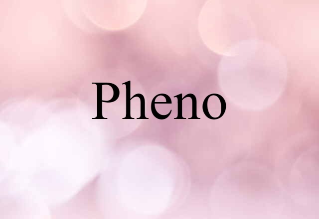 Pheno (noun) Definition, Meaning & Examples