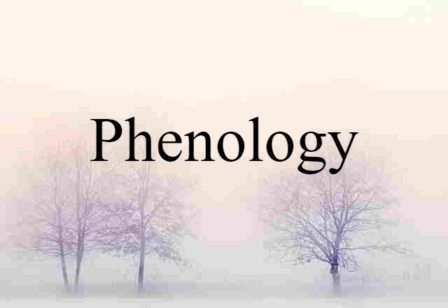 Phenology (noun) Definition, Meaning & Examples